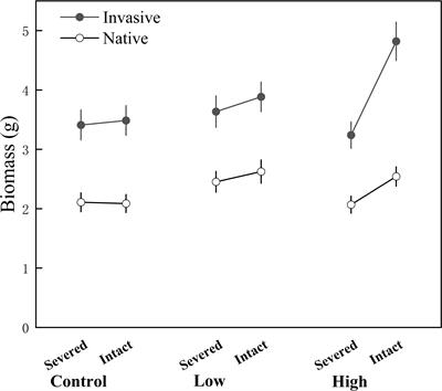 Invasive clonal plants possess greater capacity for division of labor than natives in high patch contrast environments